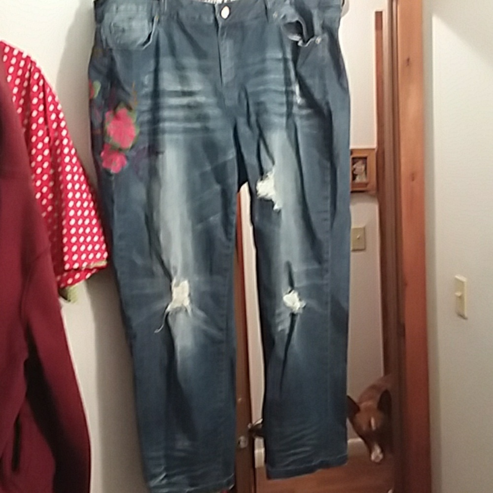 Standards And Practices Plus Size Embroidered Jean - image 1